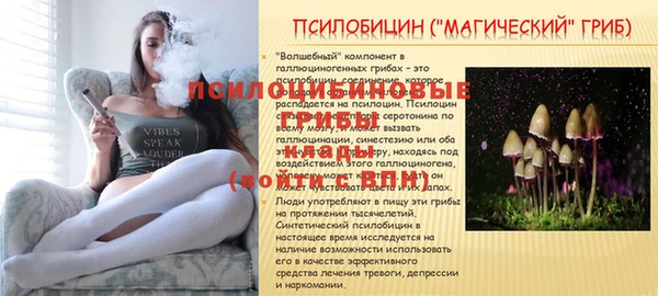 спайс Алзамай