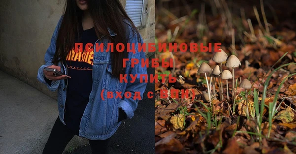 круглые Алексин