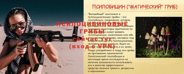 спайс Алзамай