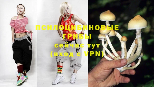 спайс Алзамай