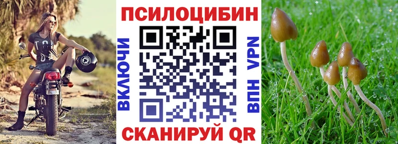 Псилоцибиновые грибы ЛСД как найти Павлово