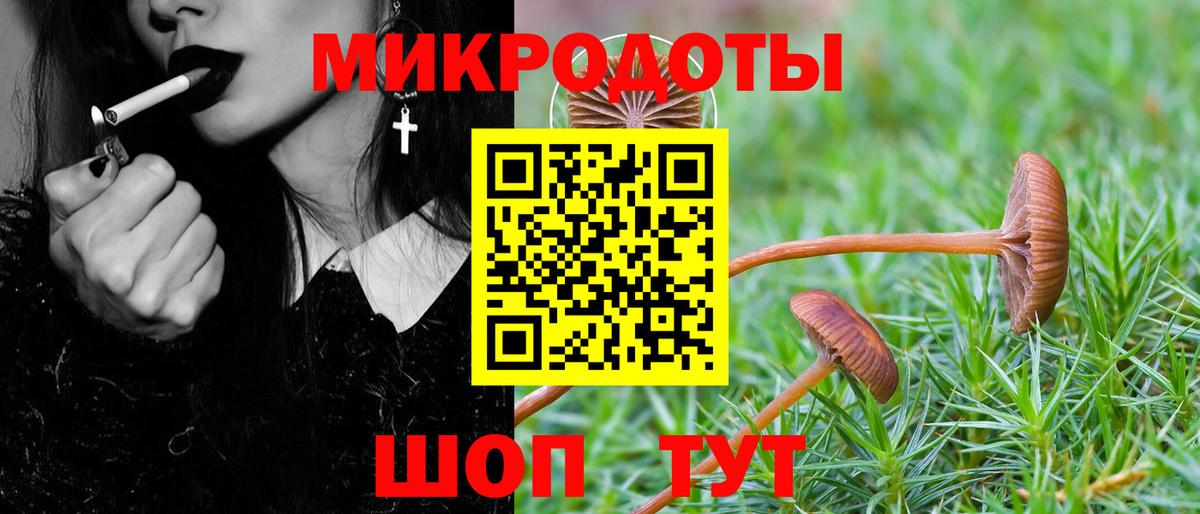 Галлюциногенные грибы мицелий Павлово