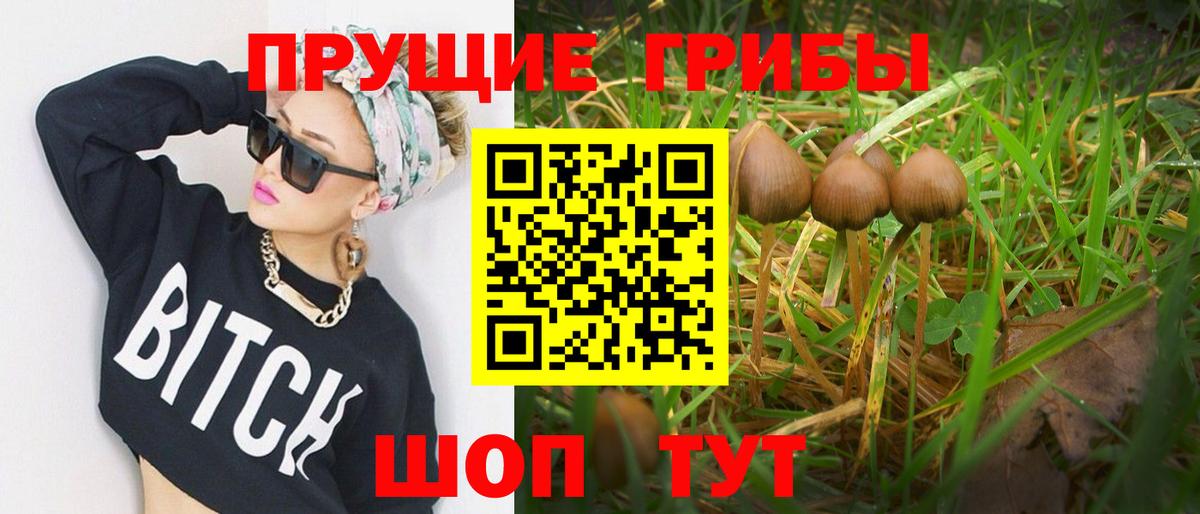 Галлюциногенные грибы прущие грибы  Псилоцибиновые грибы Magic Shrooms  Вход с VPN  Павлово 